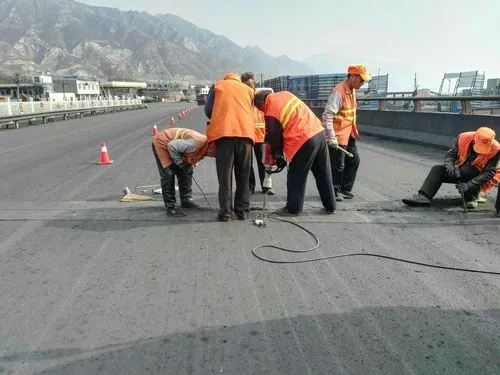 宜秀道路桥梁病害治理